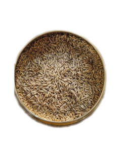 دانه مالت جو ۱۵کیلویی